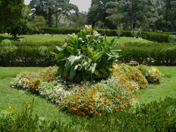 Meijer Gardens Collection